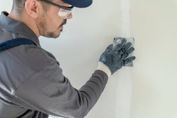 Trusted Hoffman Estates, IL Dry wall and painting Experts