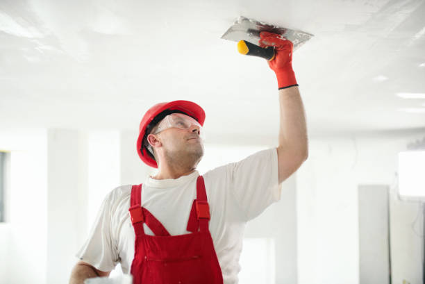 Best Stucco Painting  in Hoffman Estates, IL